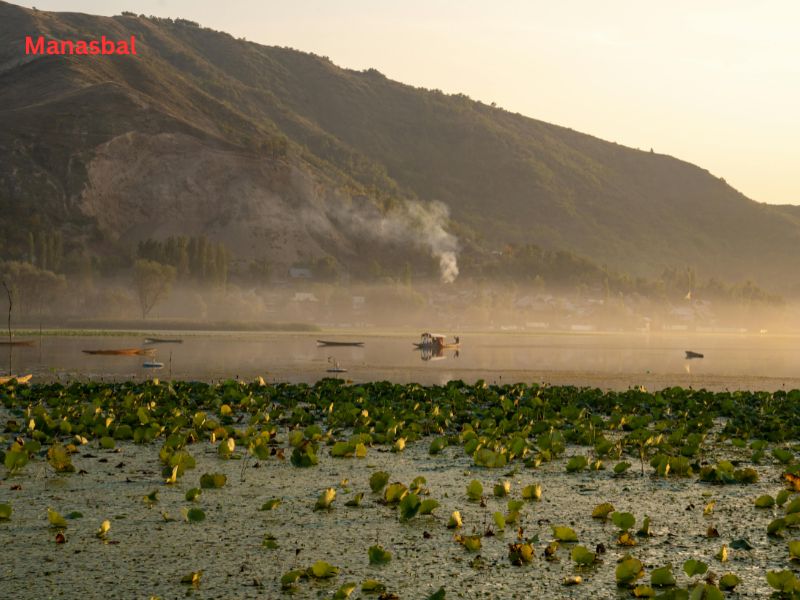 Manasbal